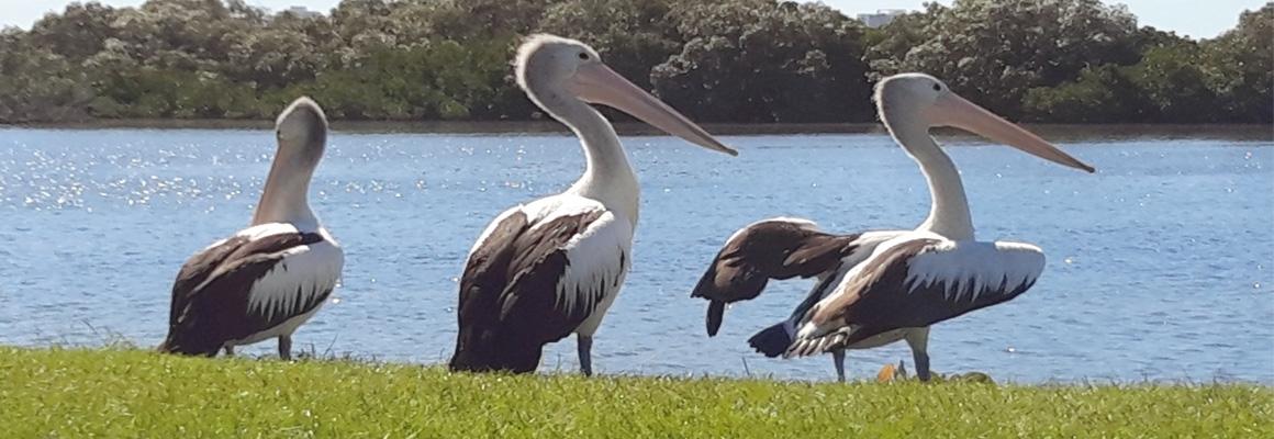 Walk with the locals